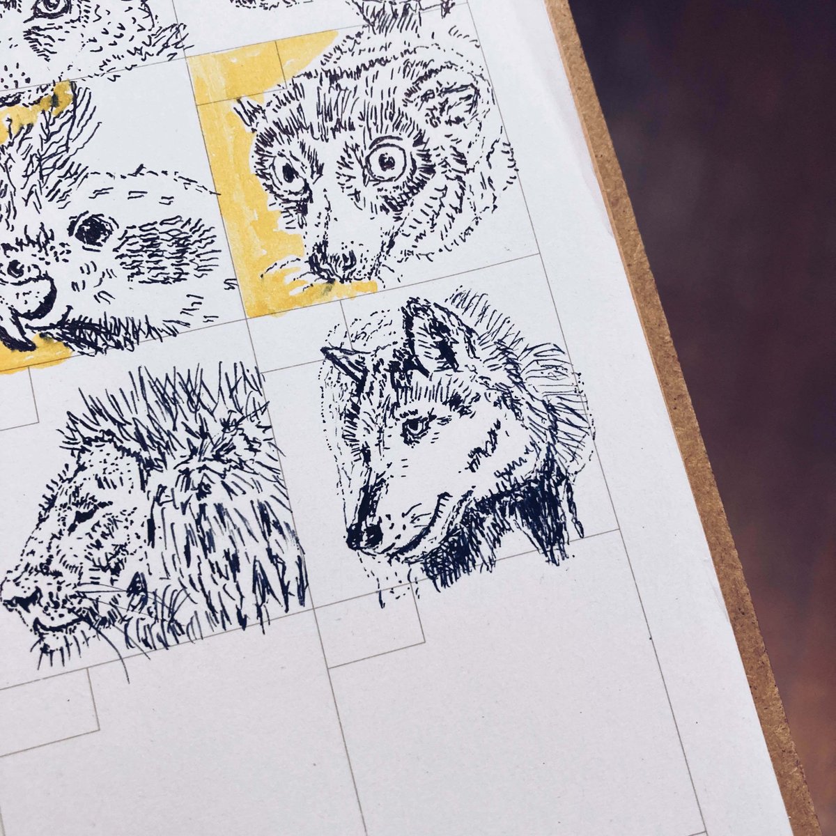 オオカミの遠吠えは本能じゃありません。

じつは「仲間への愛情表現」らしいんです。

「救急車のサイレンに反応して遠吠えする犬」って、もしかして救急車に恋してる？