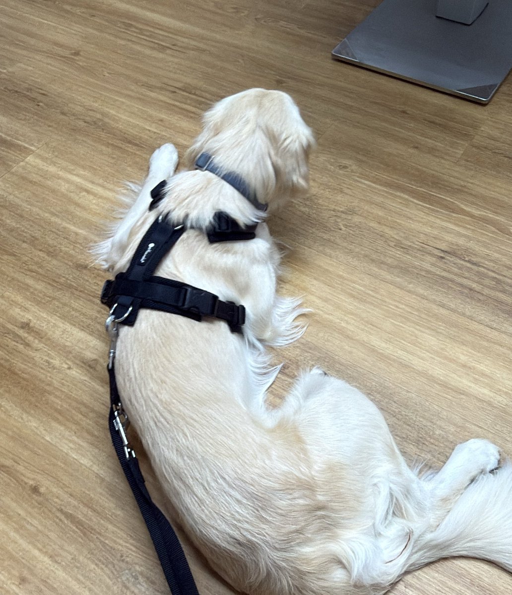 Daria 🇵🇱 tweet media