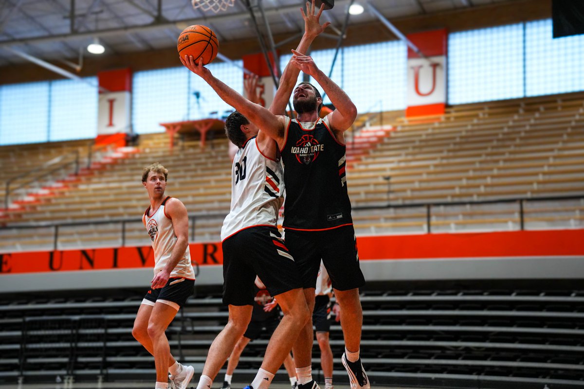 Idaho State Men's Basketball tweet media