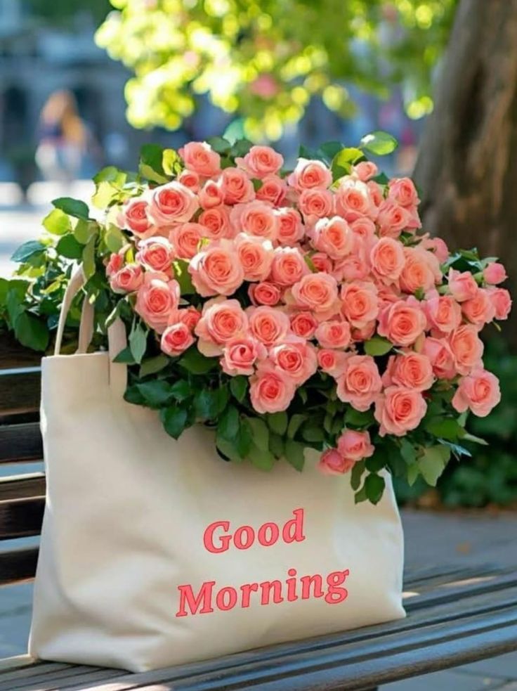 May your day be filled with positivity, purpose, and a smile that lasts all day. ✨

Good morning ✨