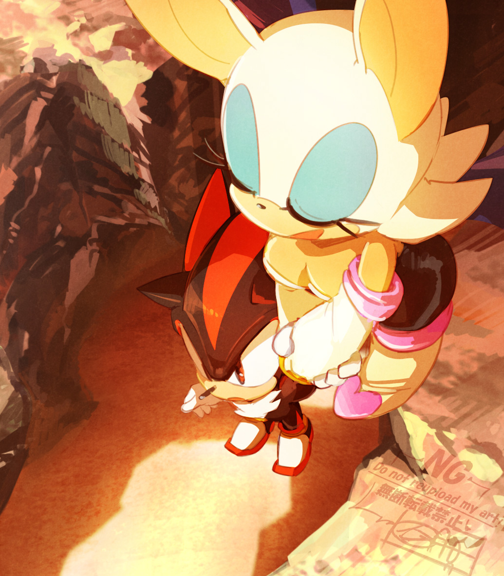 シャドウとルージュ✨　
＃ソニかつ