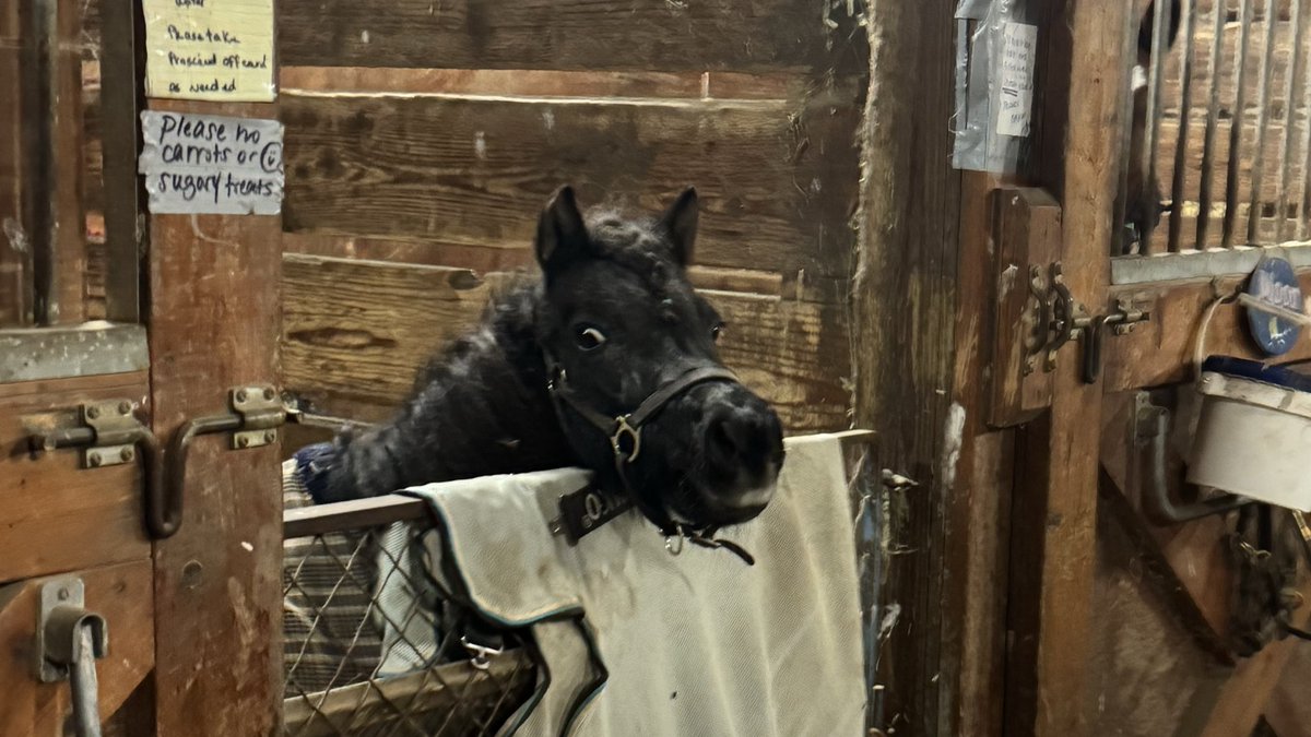 treats please 👉👈