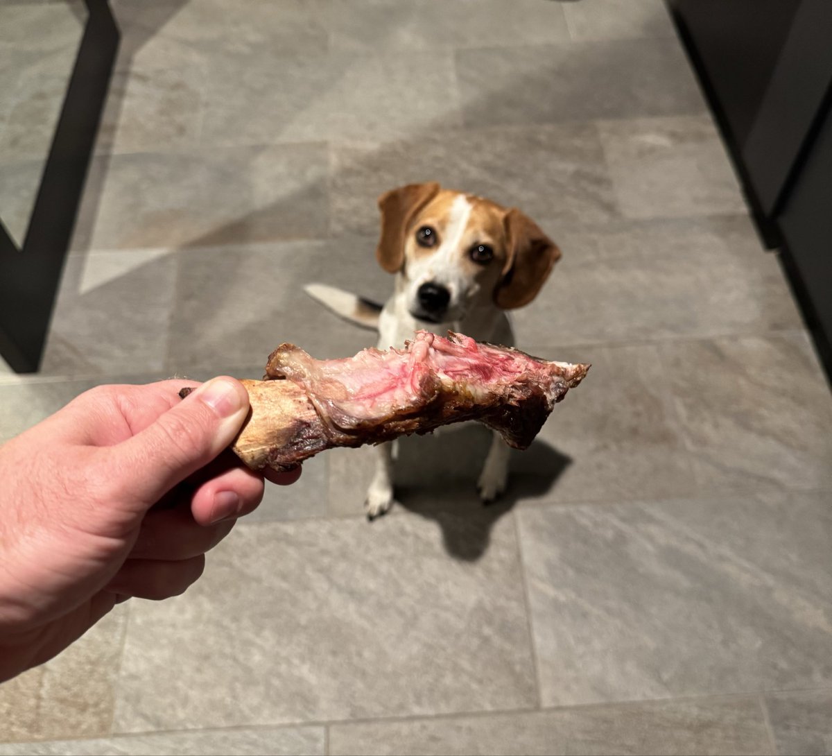 RubinsChop tweet media