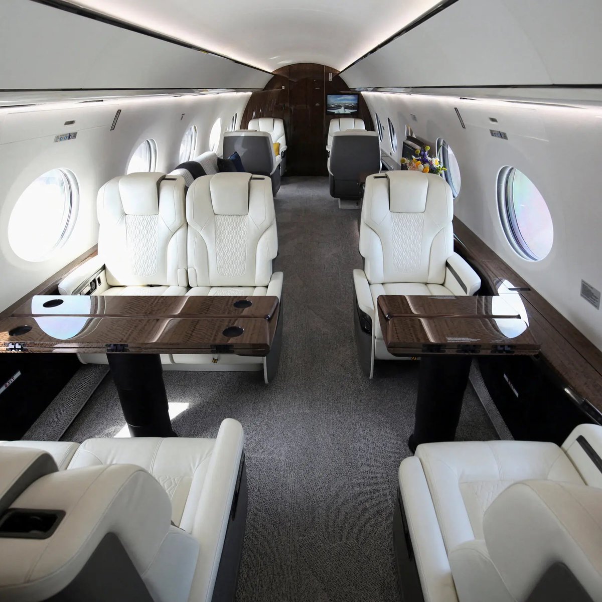 RpsAgainstTrump's tweet image. The DHS bought two luxury Gulfstream private jets for Kristi Noem and other top officials at a cost of $172 million, per the New York Times.