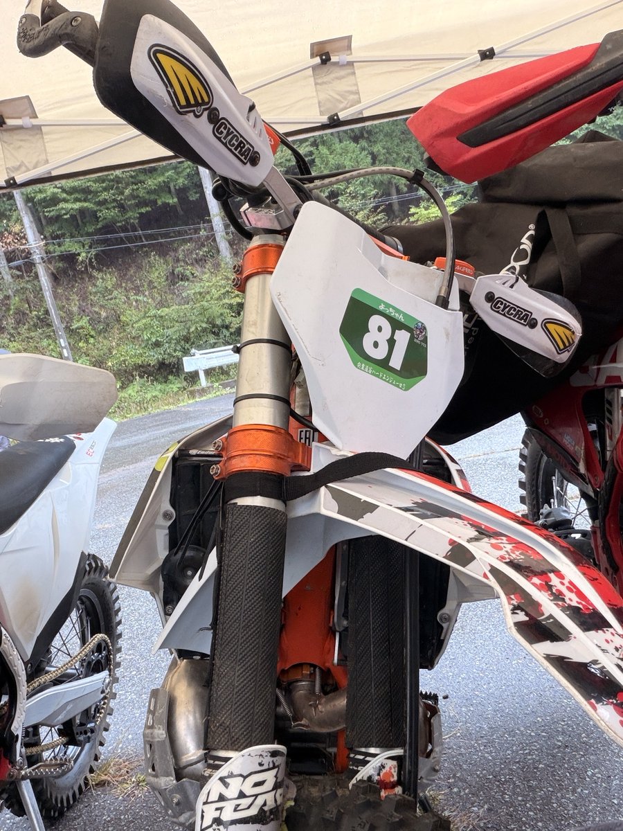 よっちゃん🍊 (@yoP_ADV) / Posts / X