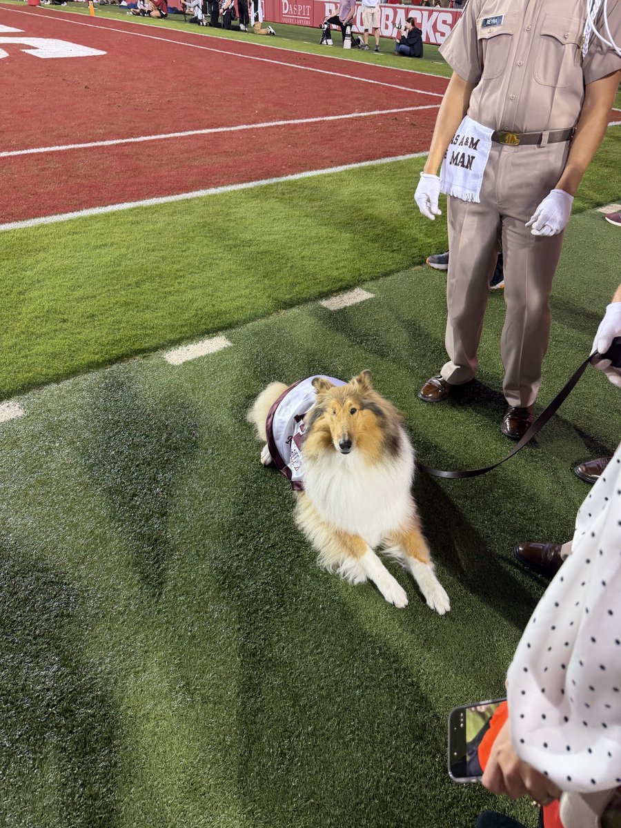 Marshall McKenzie tweet media