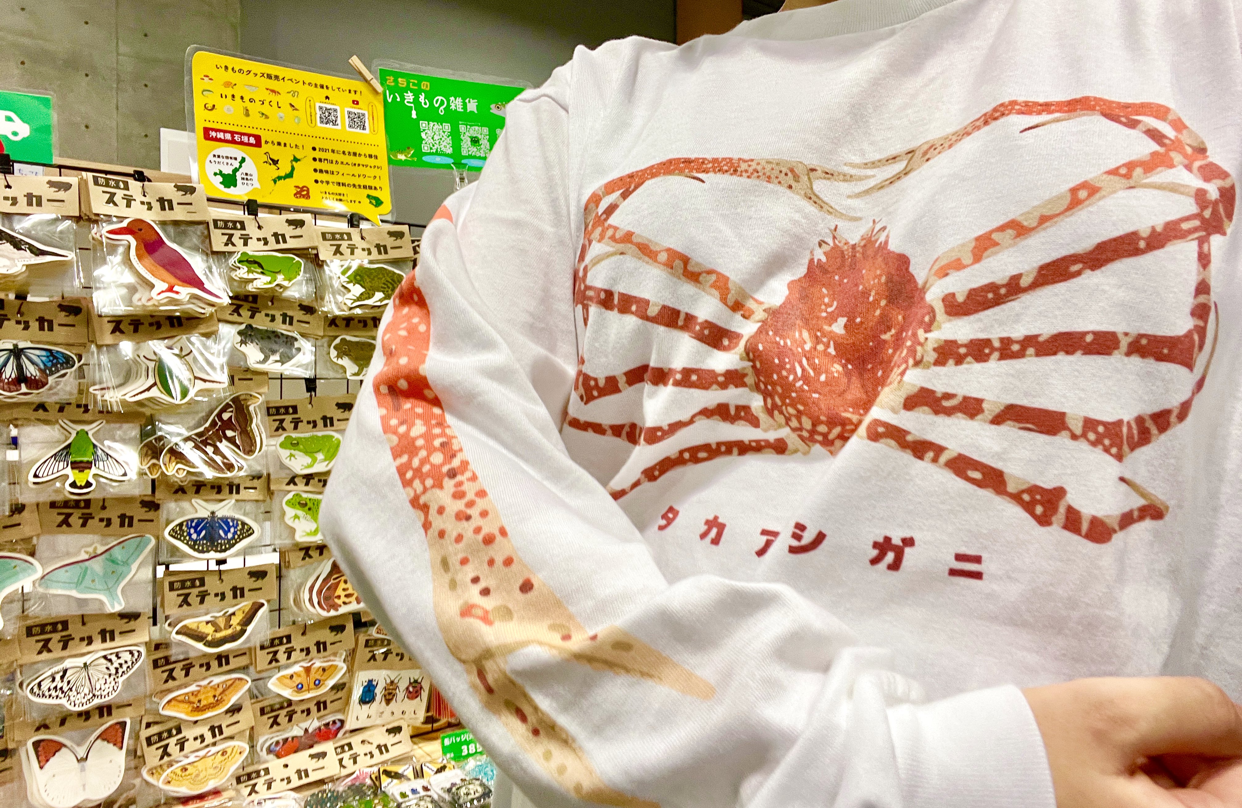 さちこの生物雑貨 on X: 