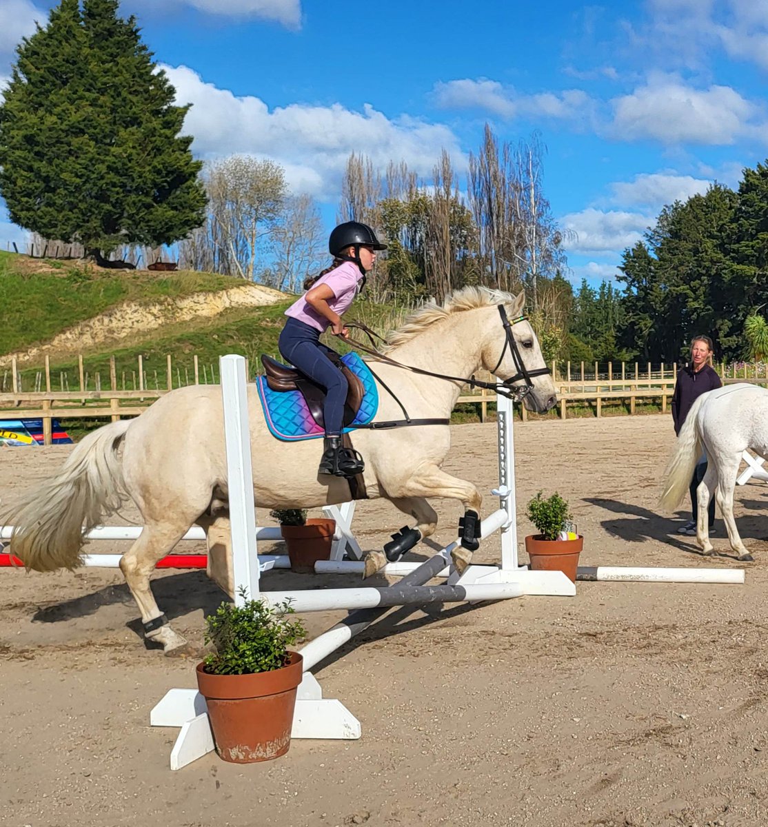 David89083011's tweet photo. Yo, my kid’s straight killin' it at Farms! Jumpin' like a savage—challenges make ridin' lessons hella turnt! 🐎💪
#HorseGoals #horseriding #CrazySaturday #LFG https://t.co/b3EVFPmysX
