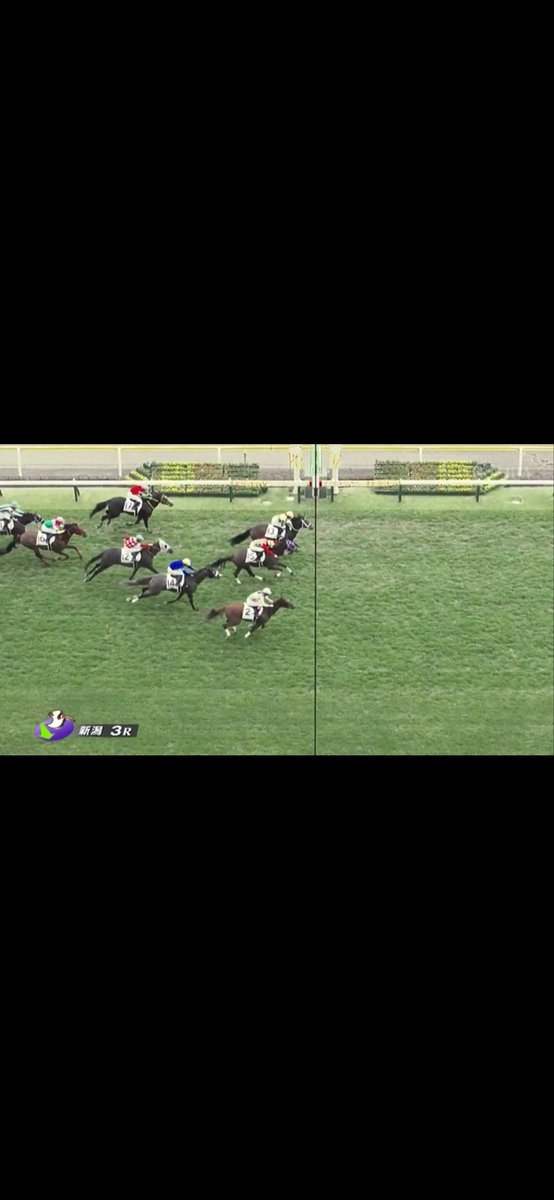 今村聖奈騎手通算100勝おめでとう㊗️❣️❣️❣️

13人気で勝利‼️