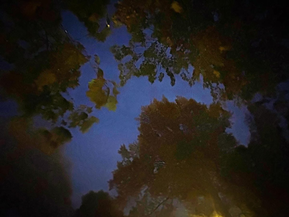 Nighttime fall vibes 🌑🍁🍃🍂