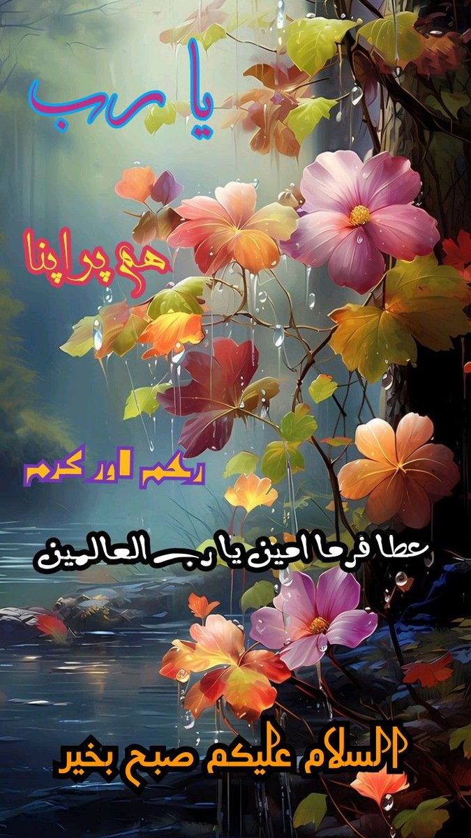السلام علیکم ! اپنے تمام احباب کو صبح بخیر اس دلی دعا کے ساتھ کہ اللہ پاک آپ اور آپکی فیملی کو امن و خوشحالی میں محفوظ و مامون رکھے آمین