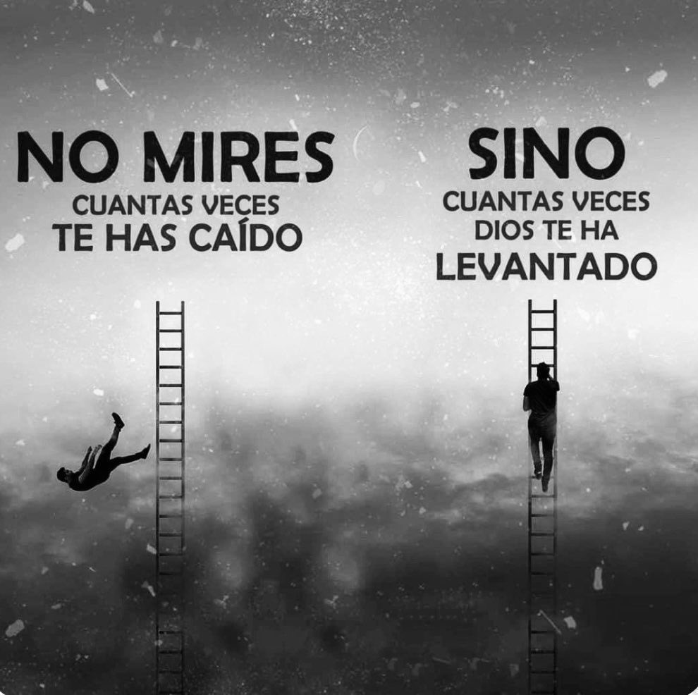 Disciplina (@eligedisciplina) on Twitter photo 