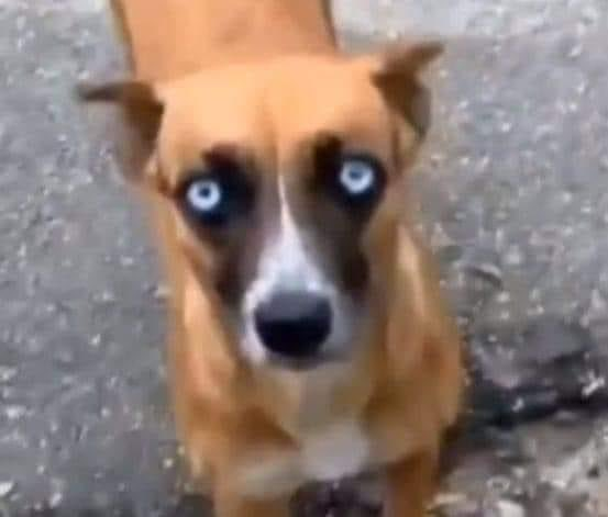 acervo beyonce (@yoncervo) on Twitter photo 