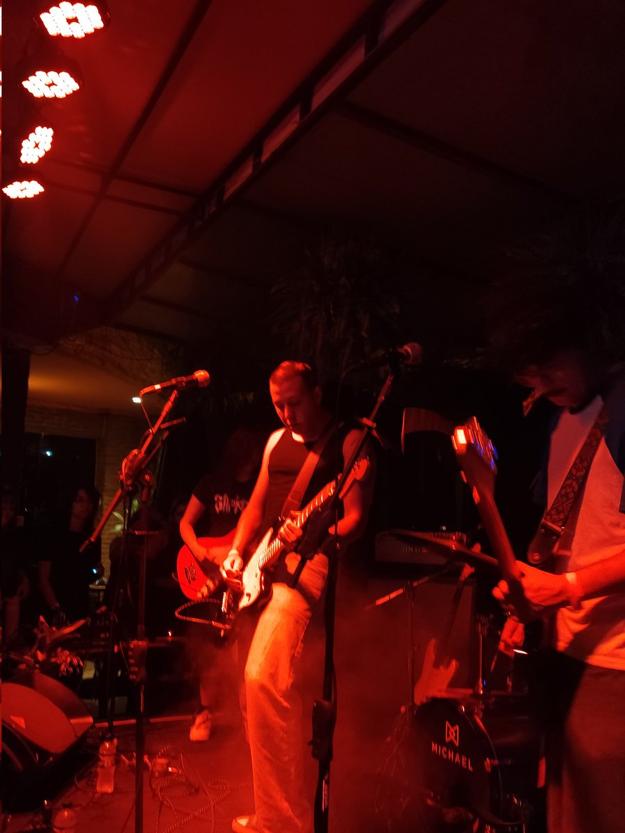 Bella e o Olmo da Bruxa - Goiânia, 18/1O/2O25