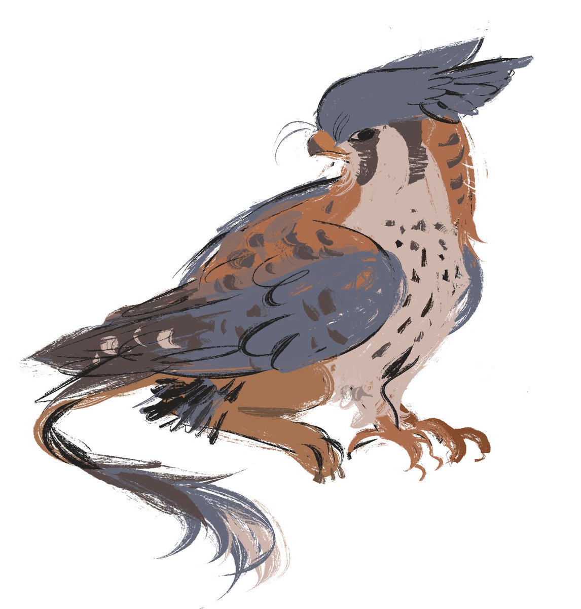 nother kestrel griffin scribble