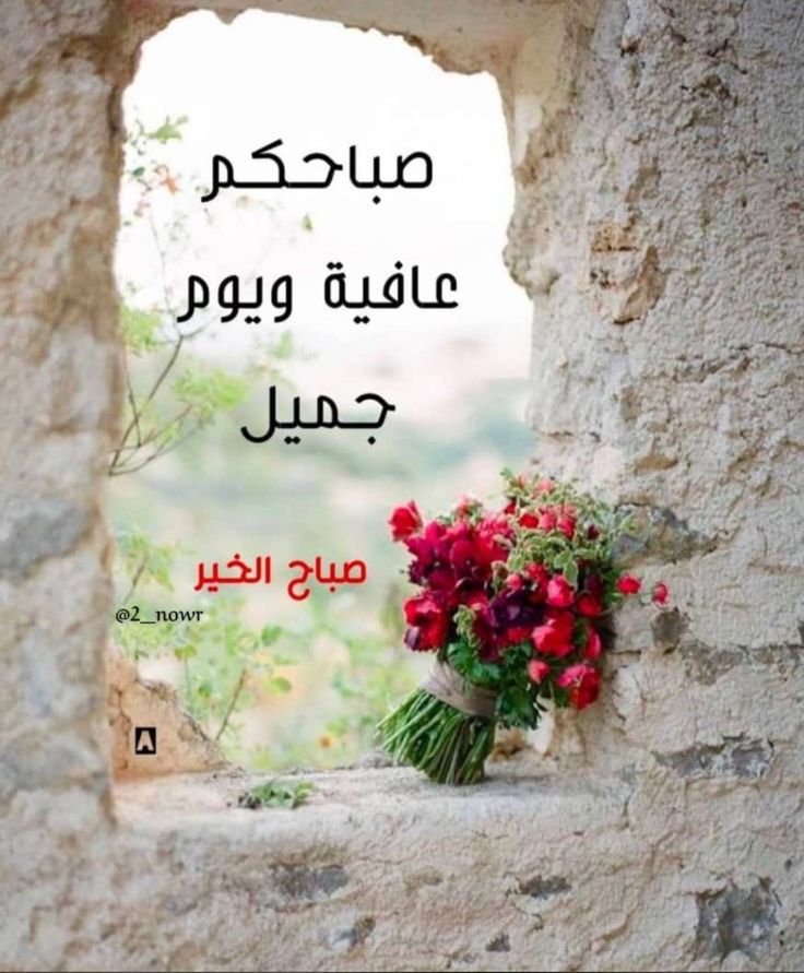 #صباح_الخير