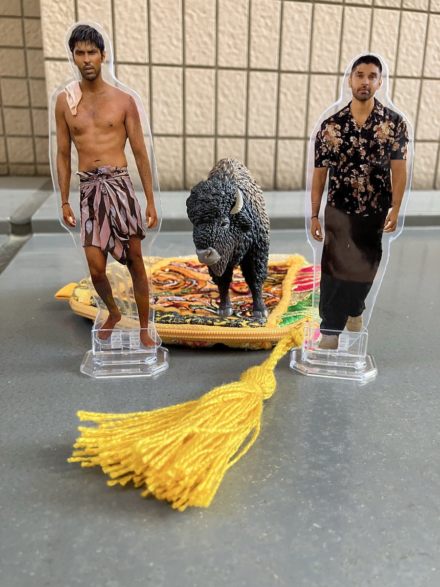 『#Bison』🦬暴力の連鎖と貧困の中、鬱屈した心を抱えて走るしかない無口な青年が、自分を表現しここから抜け出す唯一の方法はカバディ。
彼の夢が、コーチや家族、様々な人達の夢になっていく…
英雄ガネーサン選手の人生に着想を得たドラマ(史実エピも😳)
俳優陣と音楽、監督の情熱❤️‍🔥熱かったです🔥