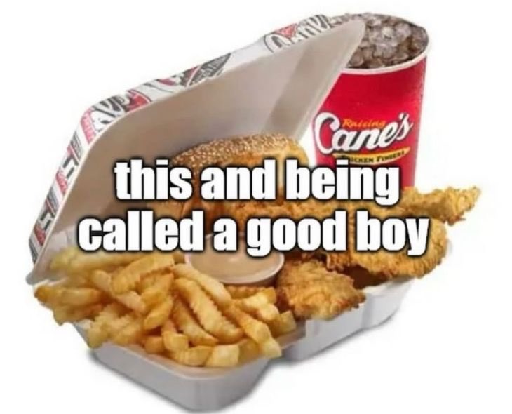 Chandog tweet media