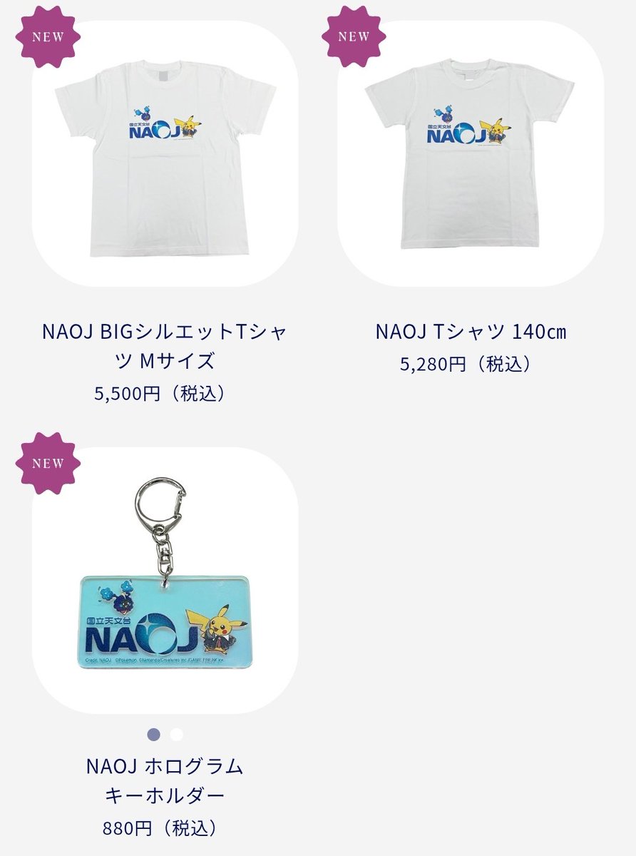 ポケモン天文台グッズに図録の表記消えちゃったな ..心配。ぬい以外の