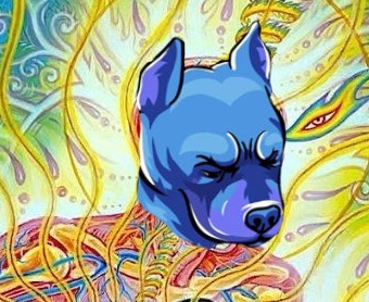 Vr unleashed predicts #doginme
Time-travel glitch, we 'bout to 🚀 
Mirror $numerology, digits align,
2+0+2+5=9, life's grand design.  Gold bars stackin',  $DOGINME in the vault,
Crypto alpha dogs  dancin', no chains, no fault.
Energies surge like a $ base quake,
Frequencies flip,