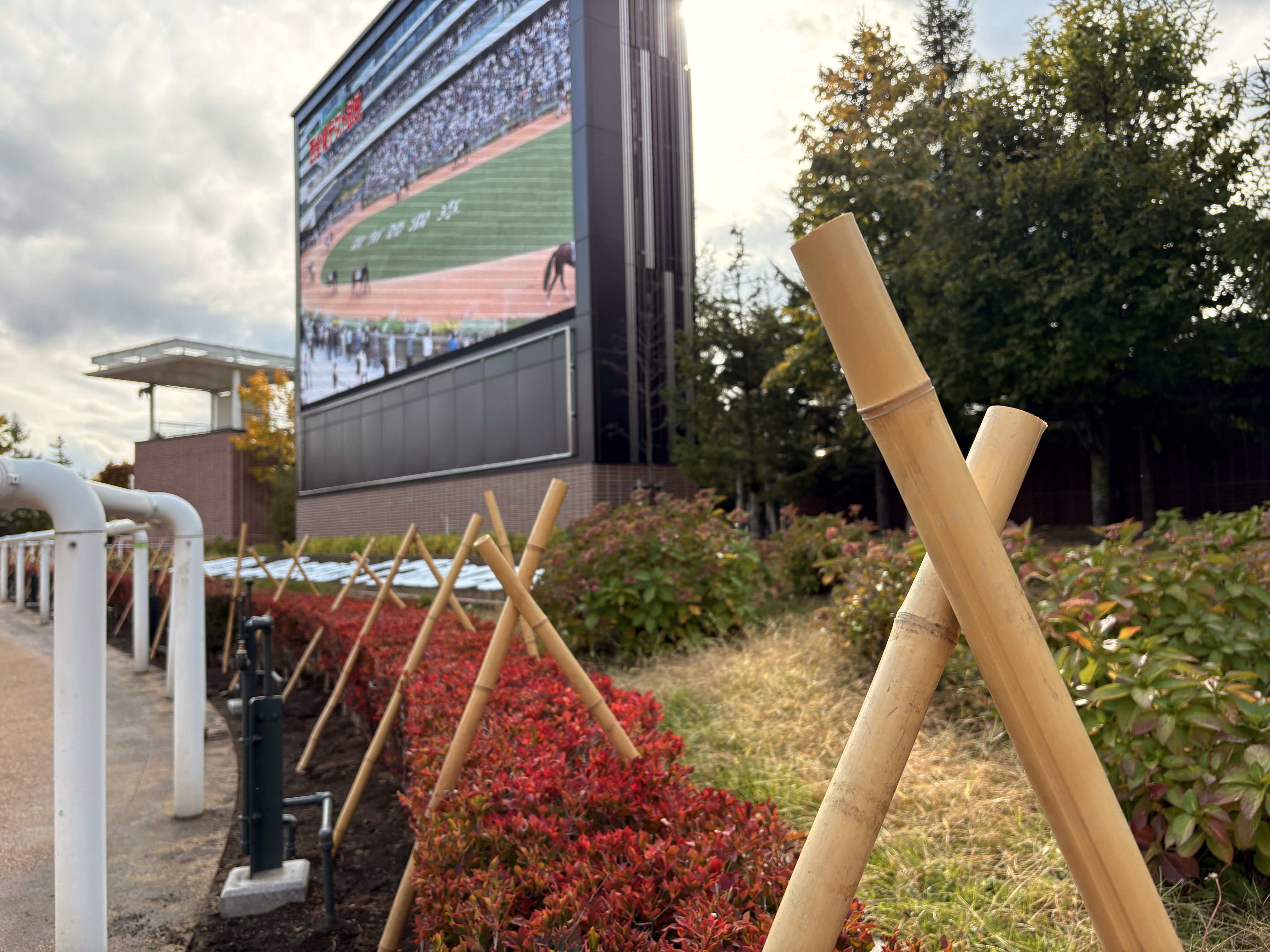 札幌競馬場100年史 札幌競馬場100年史 札幌競馬場100年史 - メルカリ