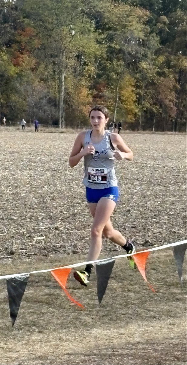 SHS Distance Devils tweet media