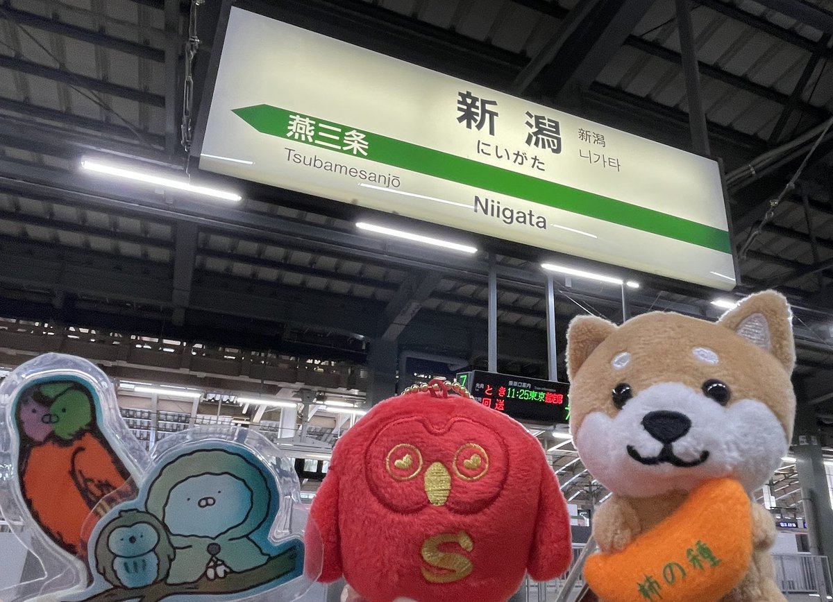 りんりんページ ☆りんりん☆ (@rinrin_358) / X