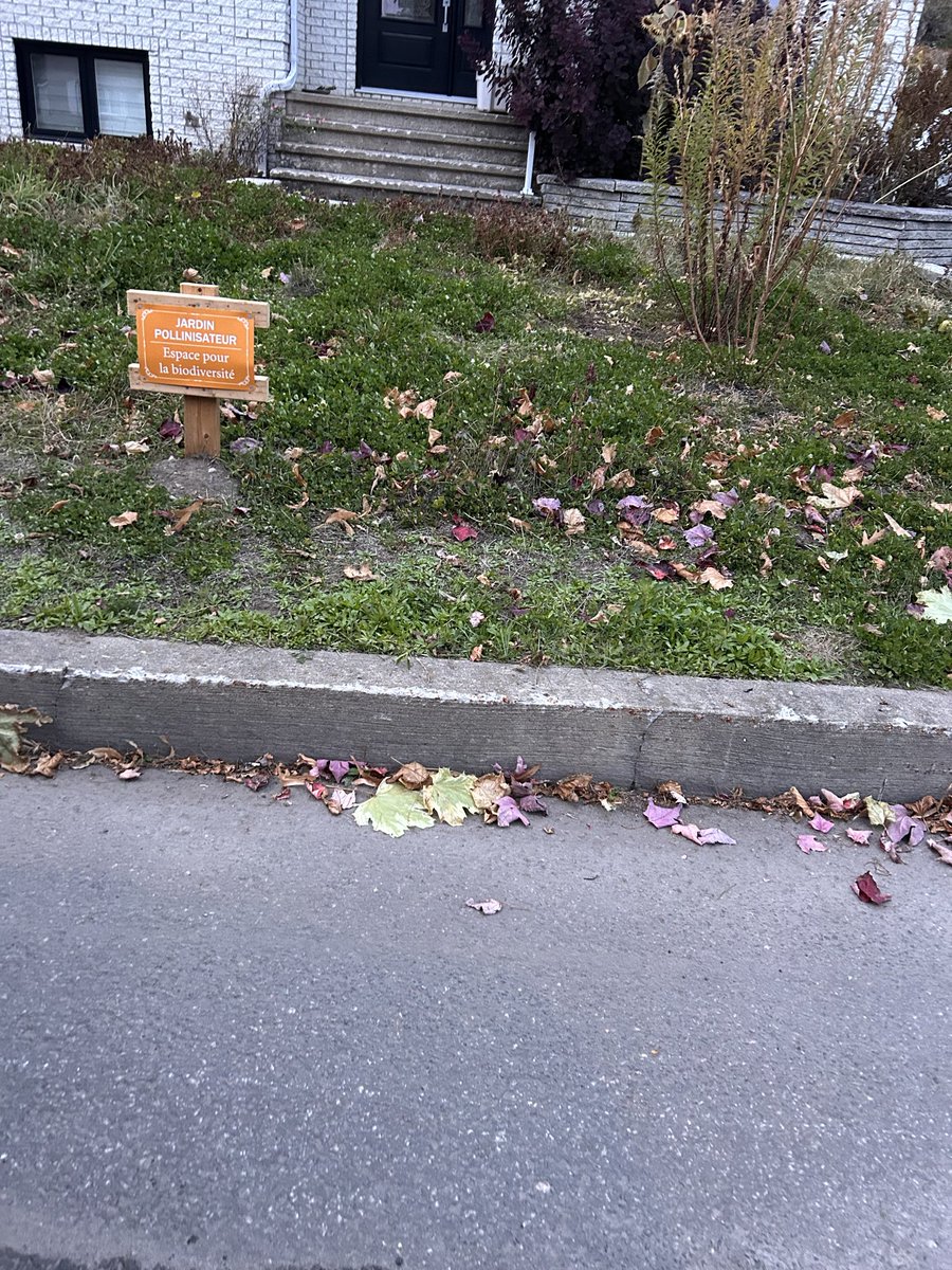 Quand t’es un pas propre mais que tu utilises la biodiversité pour te justifier 🤦‍♀️
