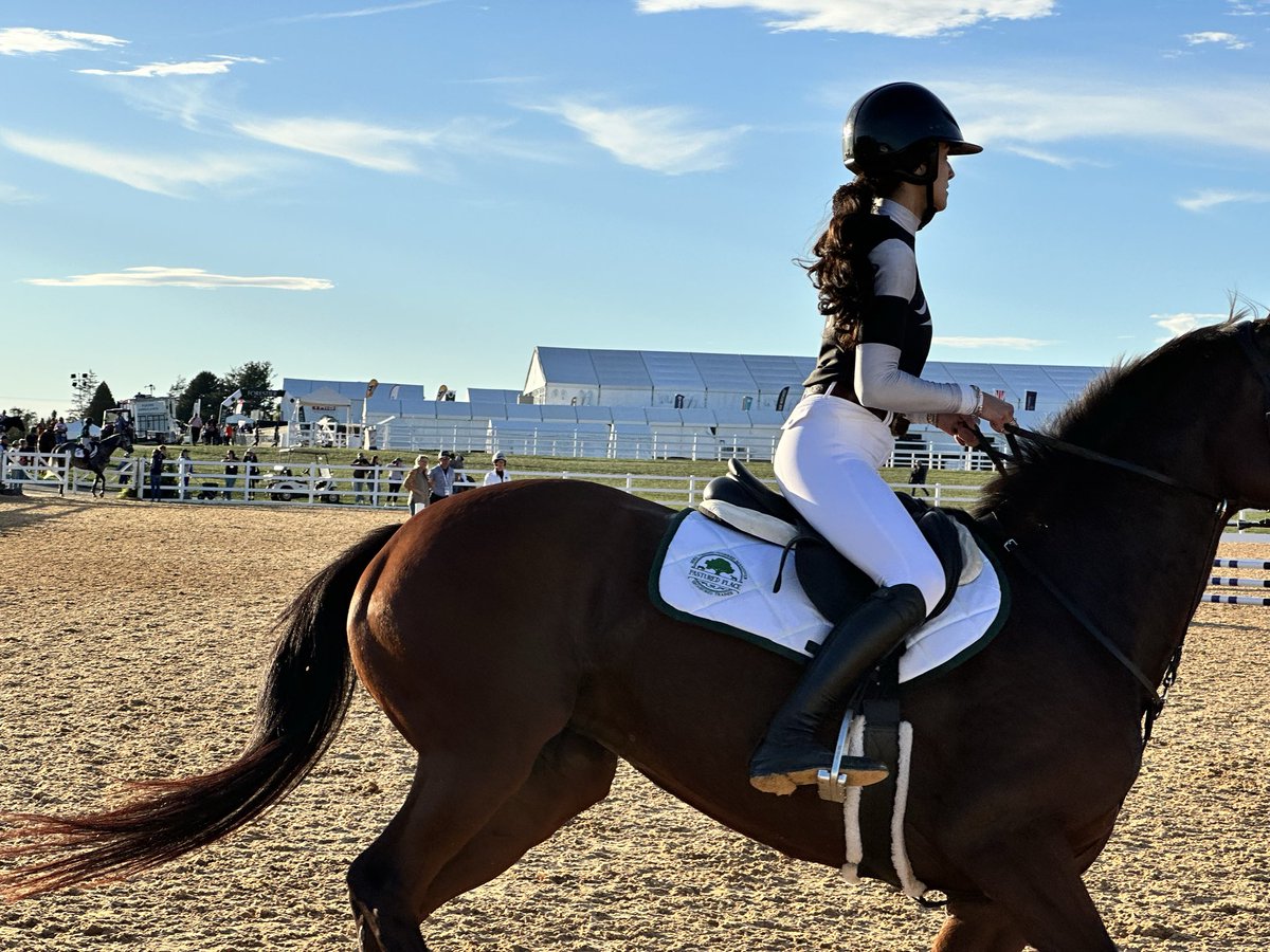 vavmark's tweet image. Gabby rode a beautiful round at the Real Rider Cup this afternoon!