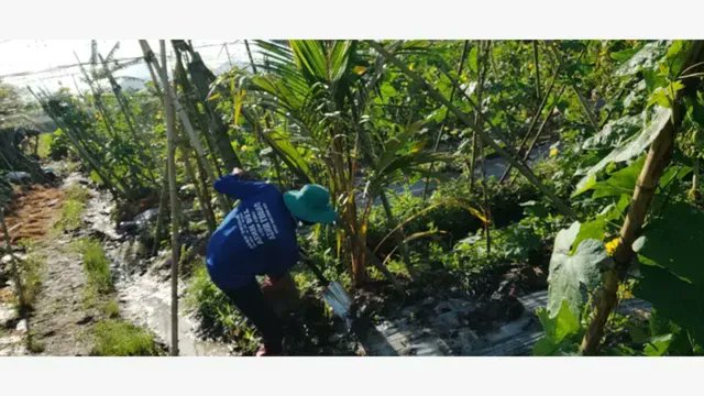 This image says it all 🌿
It starts with you. Make a difference.

View the post 👉 app.ecox.network/community/post…
Earn GREEN on @ECOX_ECOToEarn while you act:
app.ecox.network/register?refCo…

#ECOX #GREEN #ECO_TO_EARN