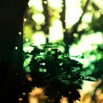 Photo by beta - instrumental alt-metal composer (@DropB_Beta)