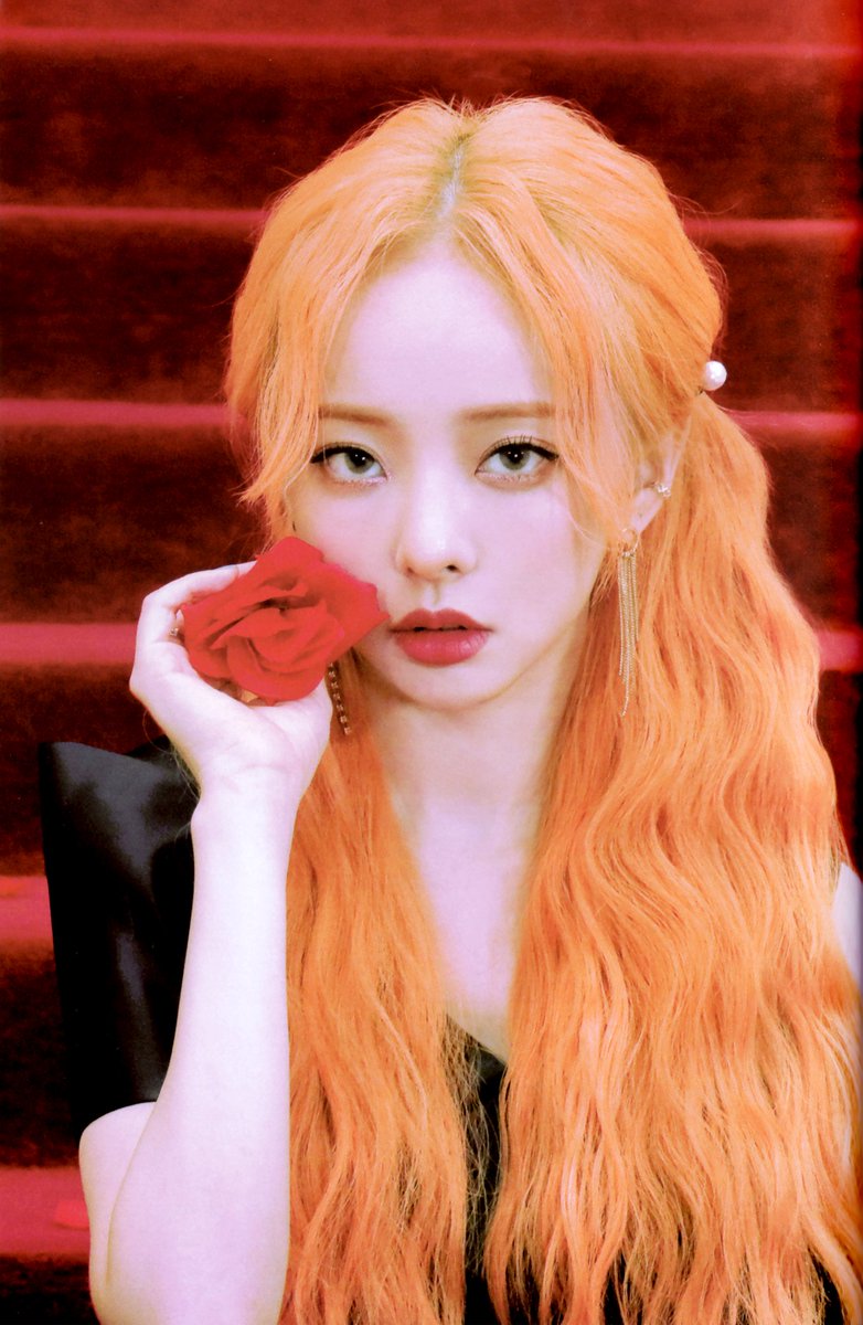 #비비