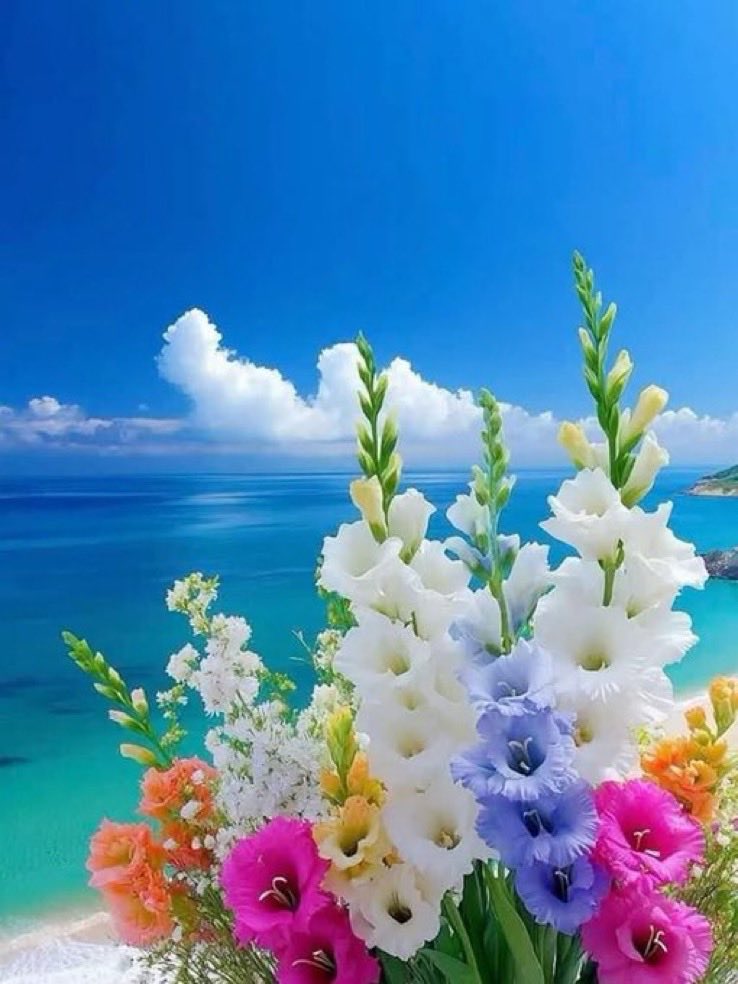 ☘️
شاكر ومقدر 
السعادة لقلوبكم