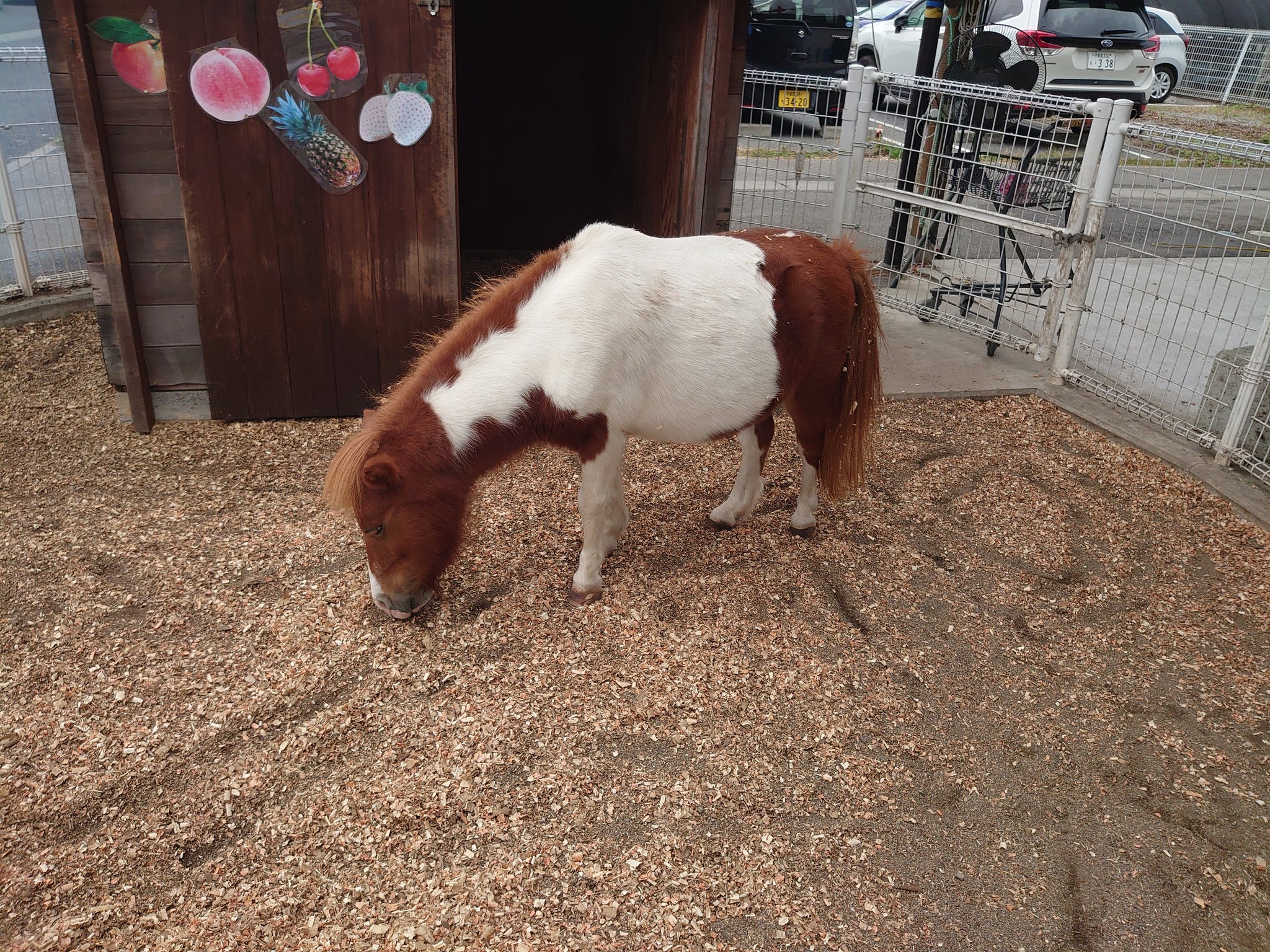 一匹狼@レトロゲーム収集家 on X: 