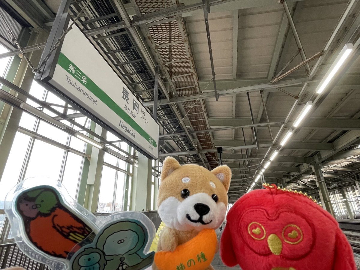 りんりんページ ☆りんりん☆ (@rinrin_358) / X