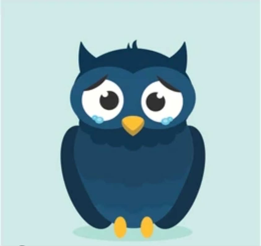 Tweet media one