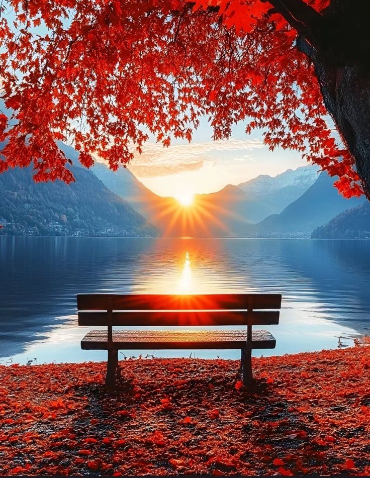 #BuongiornoATutti ☕️🍀
#BuonaDomenica 🍁♥️
