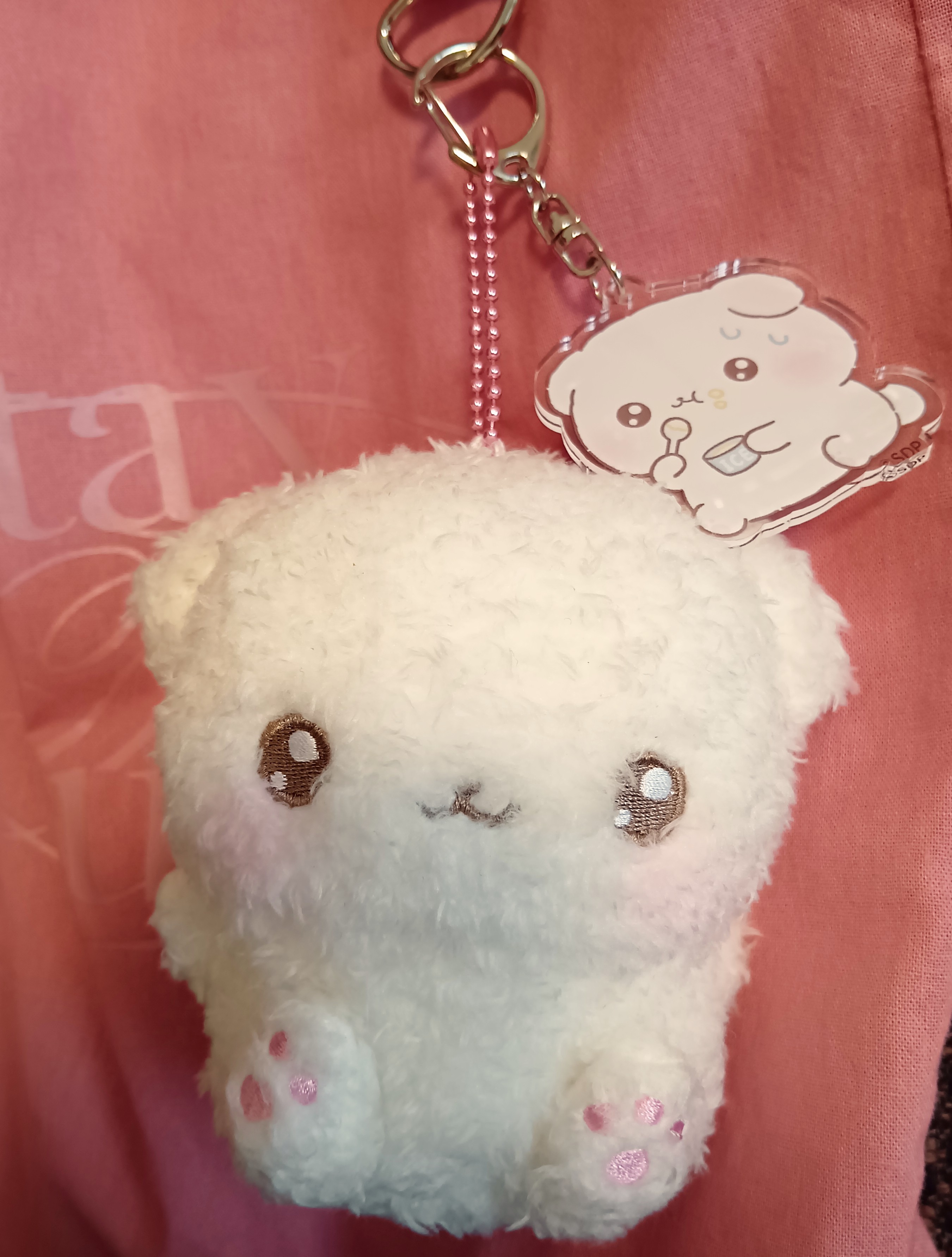 ふわりん ふわりんましゅ (@fuwarinmashu) / Posts / X