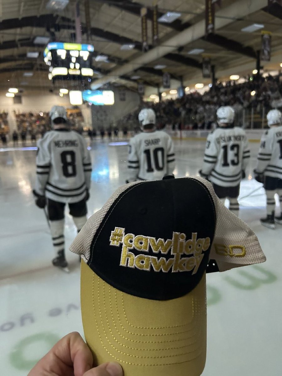 BucciOT.Com tweet media