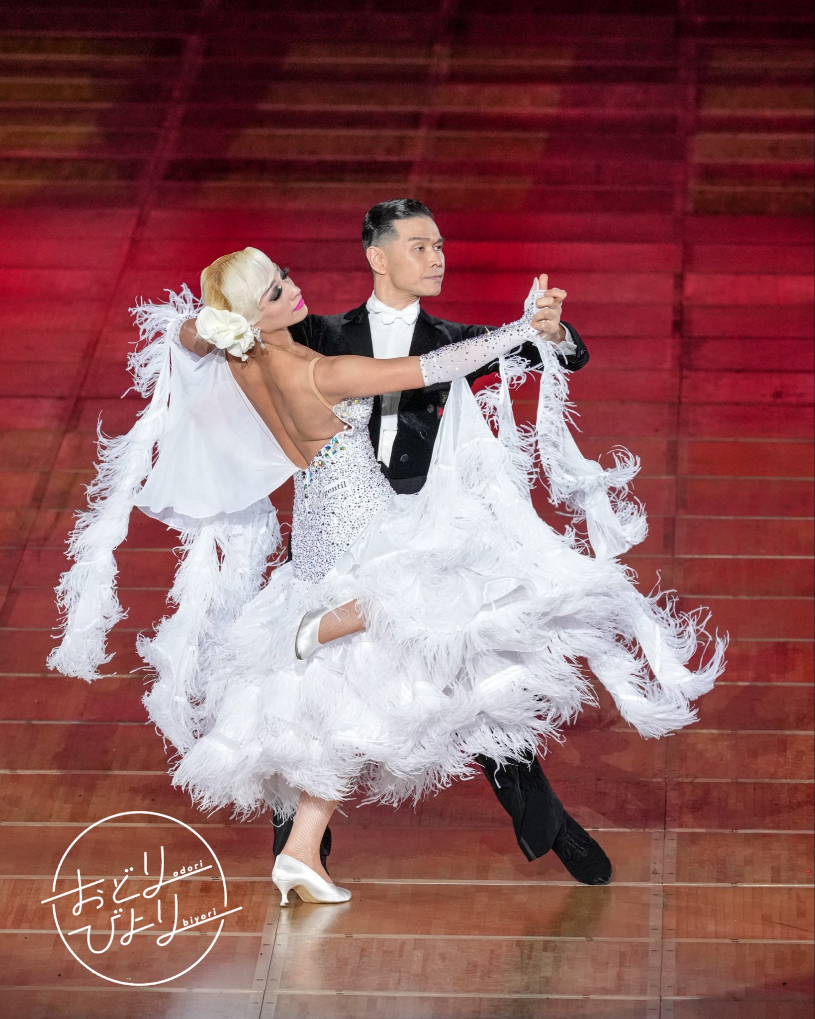 Hasebe 燕尾服 上下セット / ハセベ / 社交ダンス/ 競技ダンス ダンスコスチューム ハセベ