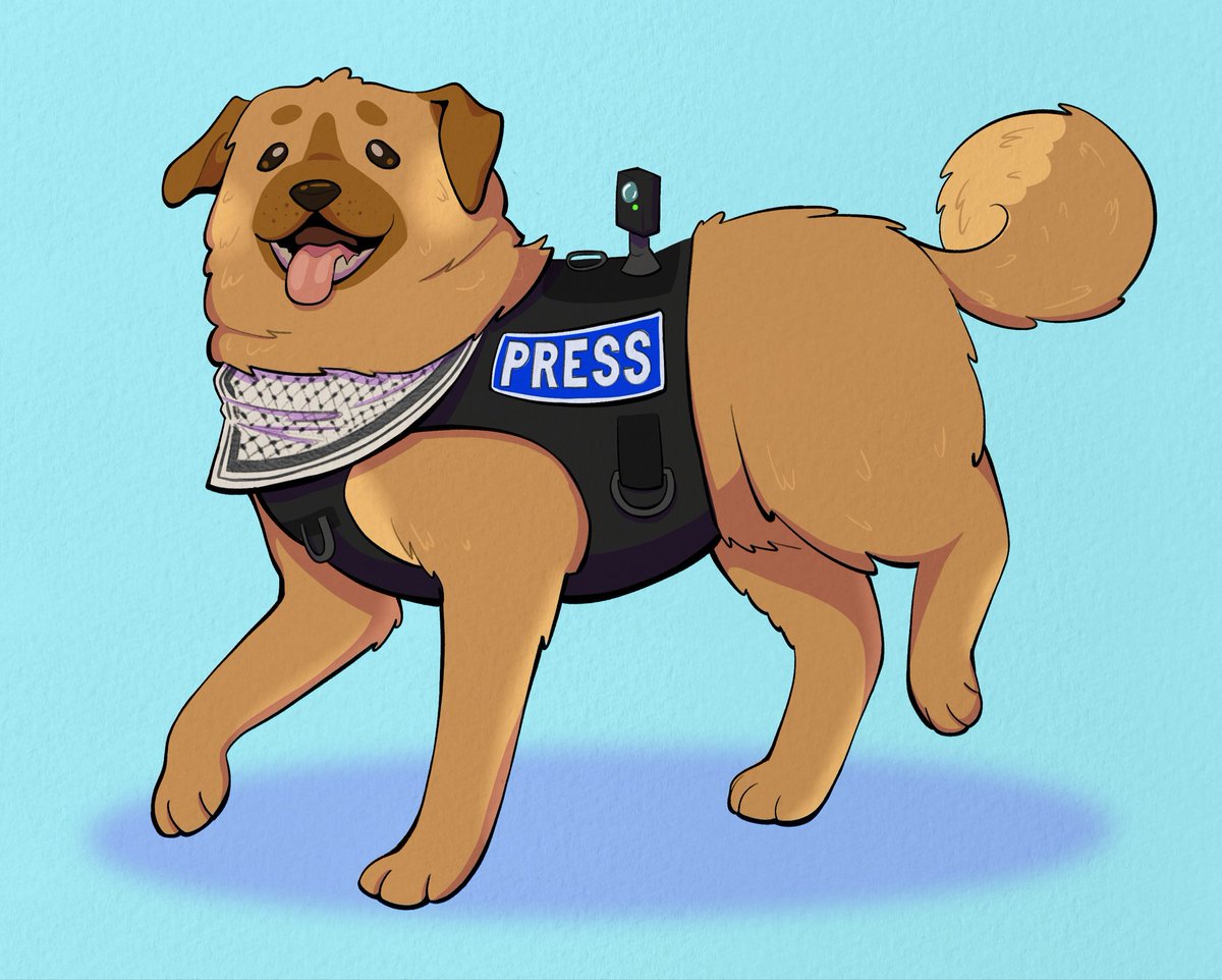 Tweet media one