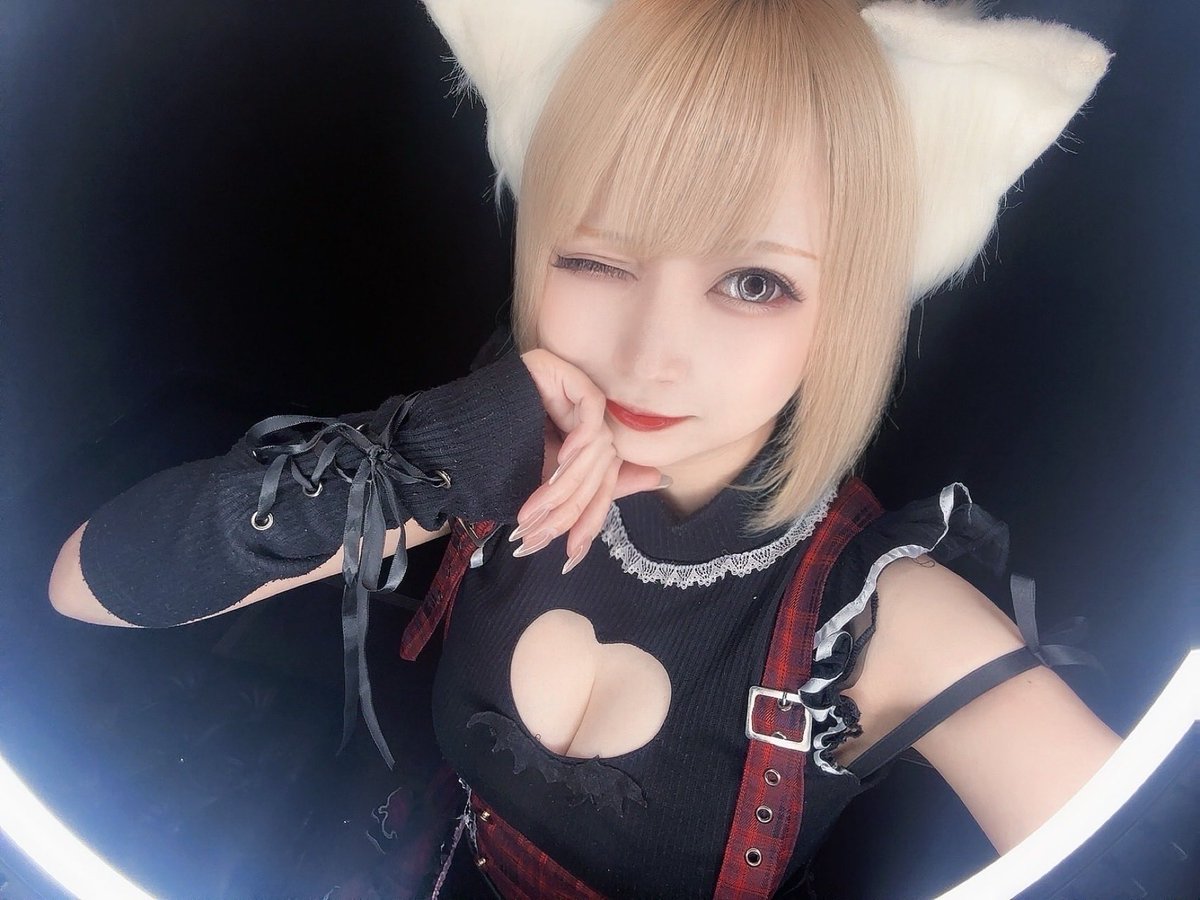 ぴあいん🐈🎵
公式からの告知は見てくれたかな？
要チェックだよ✅
今日のオープンはりーるーと！🐺🐾
ご帰城お待ちしてるね🏰💞
#でぃすとぴあ