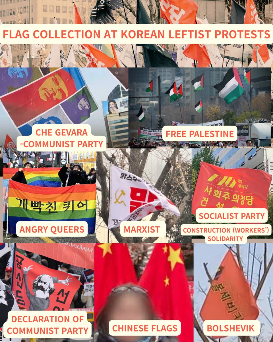 🇵🇸🇨🇳🏳️‍🌈🏴‍☠️🇰🇵Flag collection at the Korean leftists’ anti-Yoon rally last year— proof of their open support for communist dictatorships. And now, they’ve gotten exactly what they wanted.

* Imagine what would happen to them if they waved Stars and Stripes or rainbow flags in one of