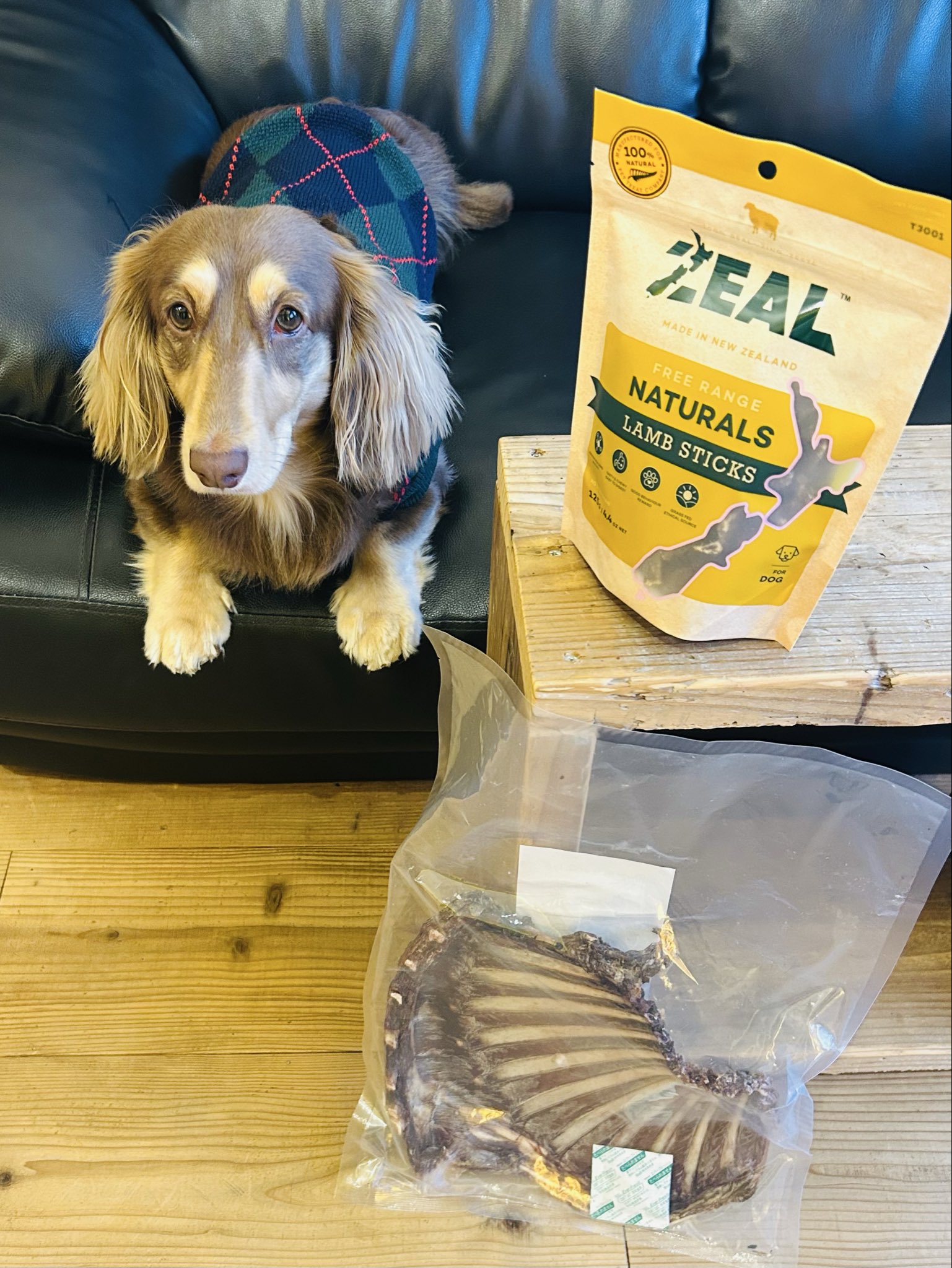 ミニチュアダックス甘太郎 on X: 