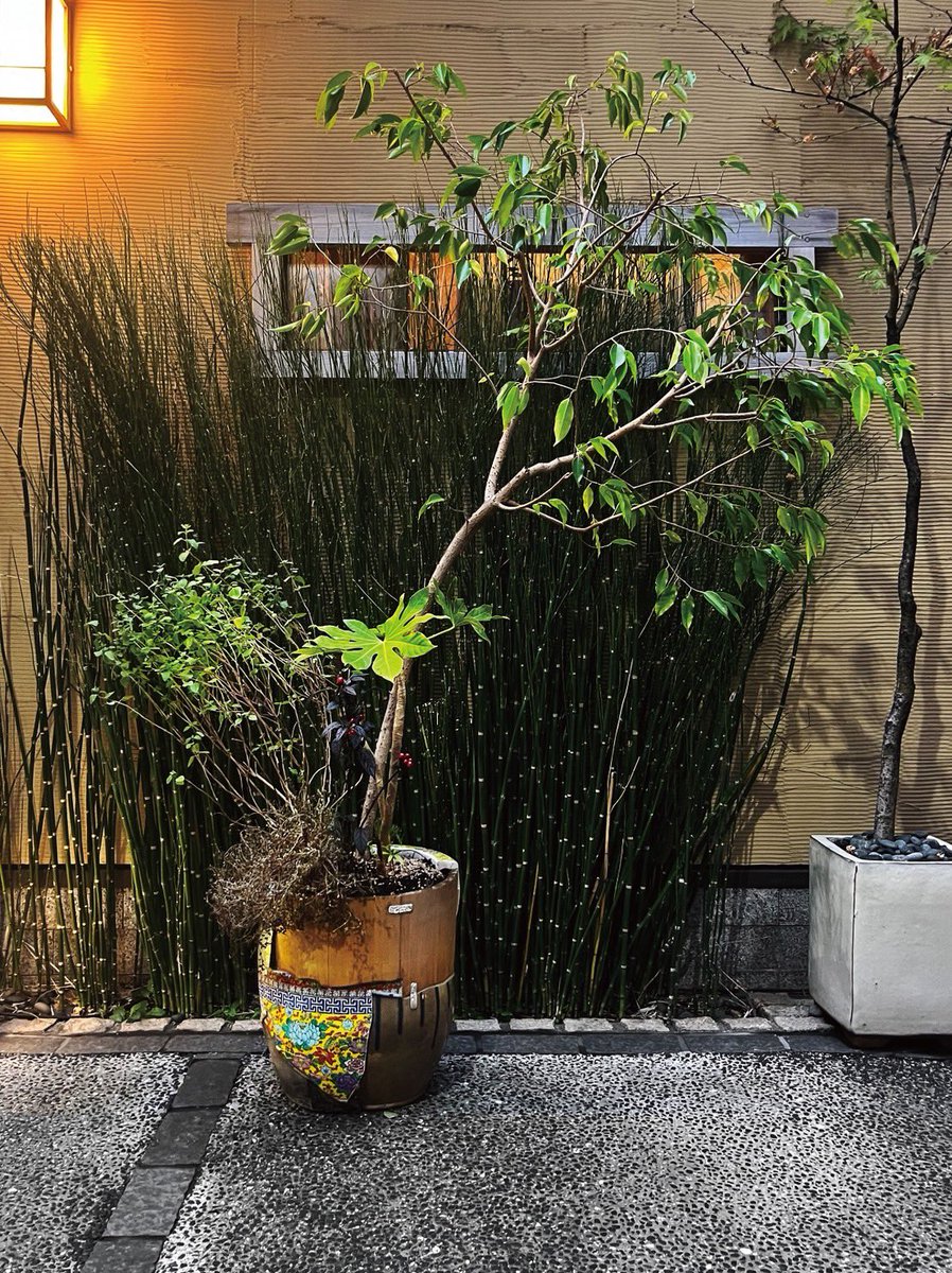 mir_coco's tweet image. 10月17日から始まった「東京ビエンナーレ　スキマプロジェクト／日本橋室町･本町」にミルク倉庫ザココナッツが参加しています。
tokyobiennale.jp/tb2025/exhibit…