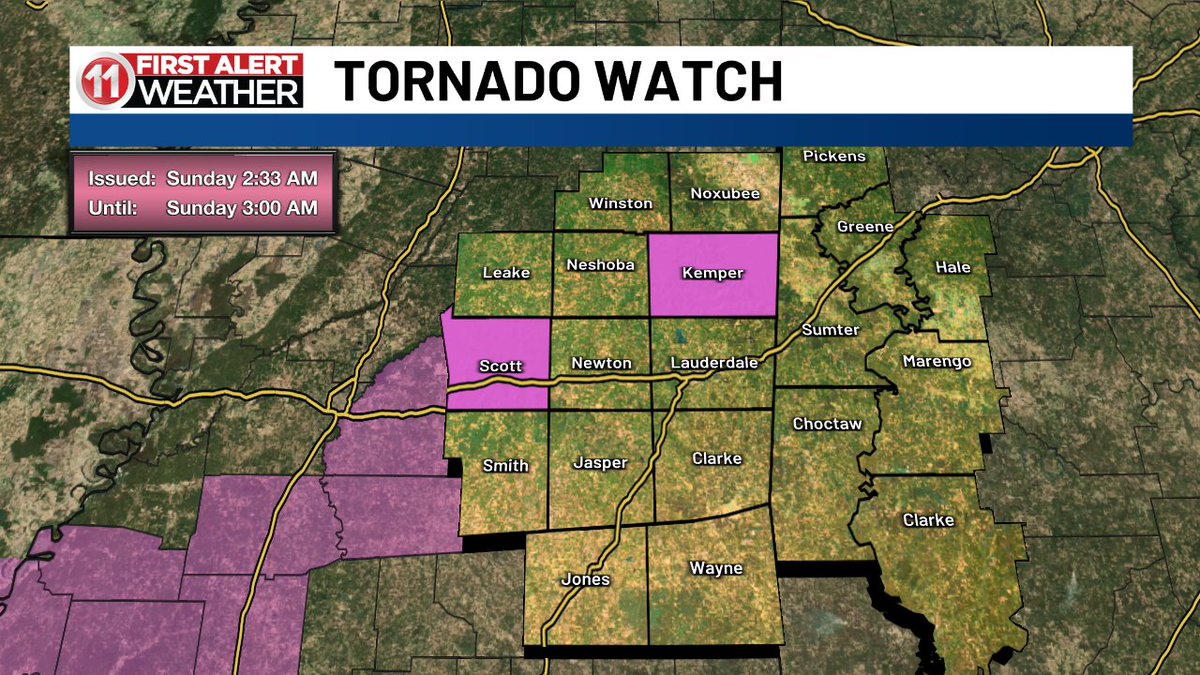 Deitra McKenzie tweet media