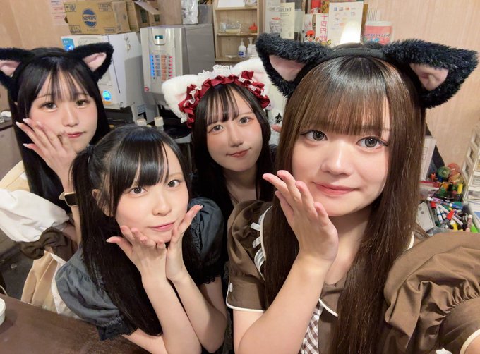 にゃんこメイドカフェ にゃんさんぶるのツイート