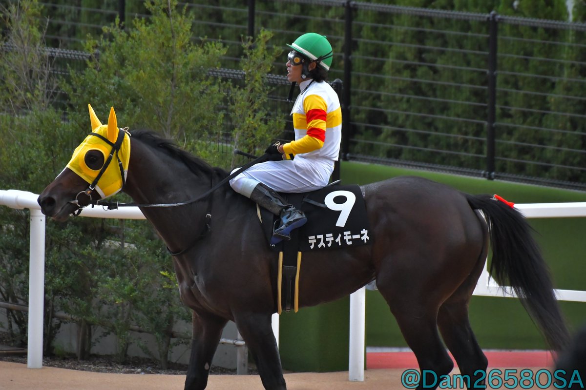 DameMame -だめまめ- on X