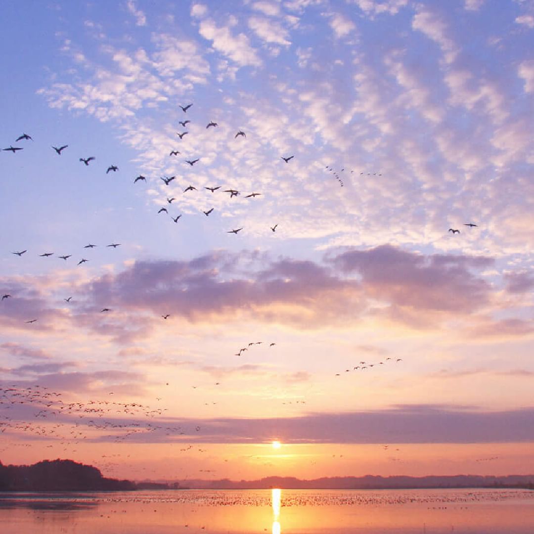 #цветдня #цветнастроения Бенимидори - это бледно-голубой цвет с лёгким красноватым оттенком на чистом фоне. Этот цвет обладает неземной глубиной, вызывающей в памяти образ голубого неба, окутанного предрассветными сумерками