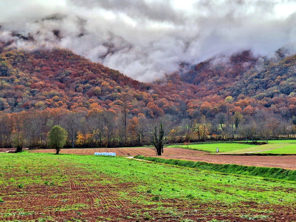 Oficialment, la tardor no comença fins que el poble comença a fer aquella olor de fum típica de tardor. Ja he vist les primeres llars de foc enceses en aquells masos situats a l'obaga de la muntanya. Ganes de tardor i que faci fred d'una vegada.